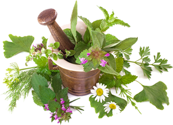 Organic Bulk Herbs