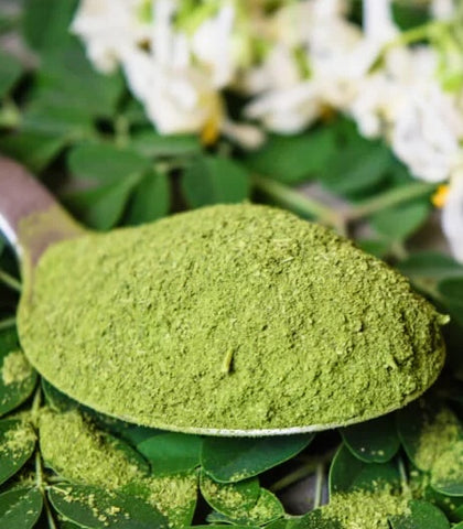 Moringa leaf powder 2 oz. Bulk Herb
