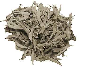 Sage, White Leaf 2 oz. Bulk Herb