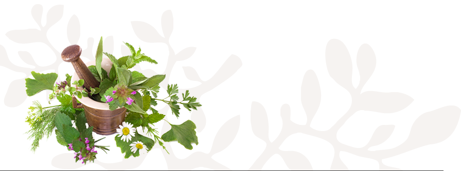 Plant Photo